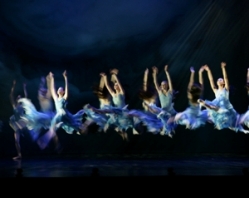 Queensland Ballet, 小美人鱼